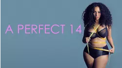 A Perfect 14