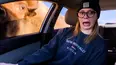 Best Fails of the Month