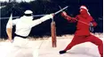 Ninja Champion