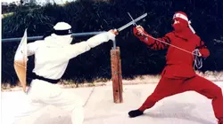 Ninja Champion