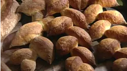 Decorative Loaves with Steve Sullivan