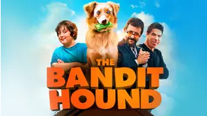 The Bandit Hound