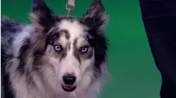 Episode 9, Season 1, Episode 9