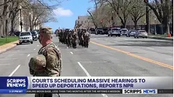 Courts scheduling hearings to accelerate deportations