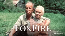 Foxfire