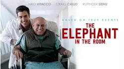 The Elephant in the Room