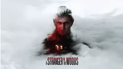 A Stranger in the Woods