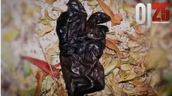 Black Leather Glove