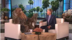Star Wars Cast
