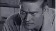 The Rifleman