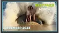 Best Fails of the Month