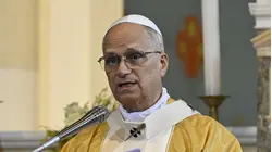 Pope Leo XIV Greeted by Crowd of 120,000 in Cameroon