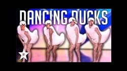 Dancing DUCK Audition On Italy's Got Talent 2019! | Got Talent Global