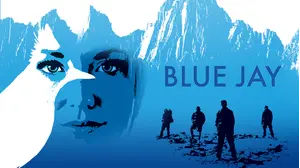 Blue Jay