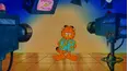 Garfield and Friends