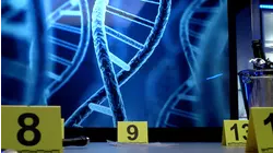 Only DNA Can Say - Angélique Dumetz