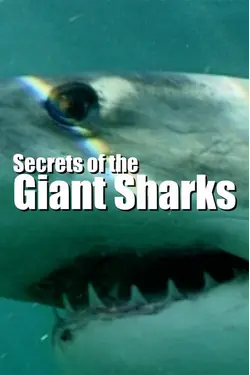 Secrets Of The Giant Sharks