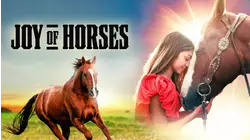 Joy Of Horses