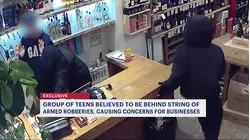 Group of teens believed to be behind string of armed robberies at Brooklyn small businesses