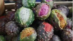 Why Pitaya (Mexican Dragon Fruit) Is So Expensive