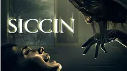 Siccin