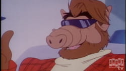 ALF Tales: S2 E3 - The Elves And The Shoemaker