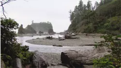 Ruby Beach, Washington featuring Cyndi Lauper, Bread, Del Amitri, and Dionne Warwick