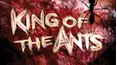 King of the Ants