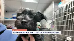 Community donates truckload of supplies to Associated Humane Societies of Tinton Falls
