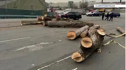 Tractortrailer rollover spills logs across Clarkstown roadway