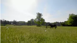 A Better Life