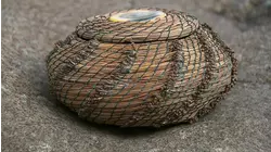 Macarons and Micrometers