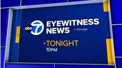 Cold Case Scuba Divers