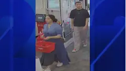3 people wanted for stealing $30K worth of cosmetics from Long Island CVS stores