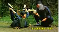 Sleeping Fist