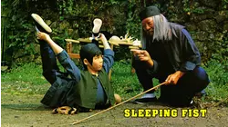 Sleeping Fist