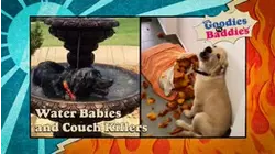 Goodies VS. Baddies | Water Babies and Couch Killers