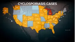 Taylor Farms pulls lettuce linked to cyclosporiasis outbreak from U.S. market