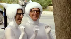 Spermatozoids