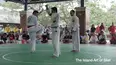 Island Art of SILAT