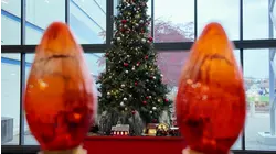 Cost Of: Holiday Decorations