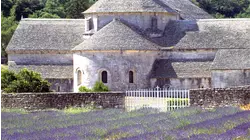 Visions of France: Provence