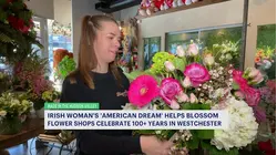 Made in the Hudson Valley: The 'American Dream' helps Blossom Flower Shops celebrate 100+ years in Westchester