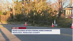 Thousands across New Jersey lose power as storms topple trees and wires