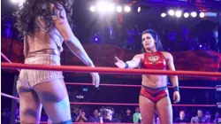 Rebellion 2019