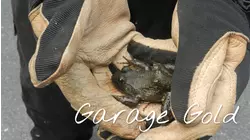 One Pad to the Next: Frogs and a Two-Ton Discovery