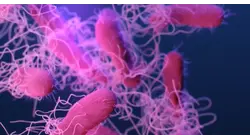 CT Department of Public Health reports 68 cases of cyclosporiasis
