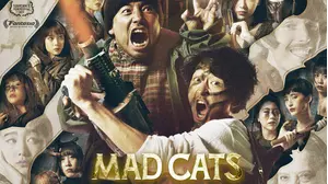 Mad Cats