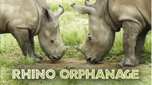 Rhino Orphanage
