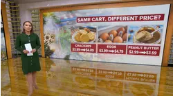 Shoppers are paying different prices for same groceries: Study